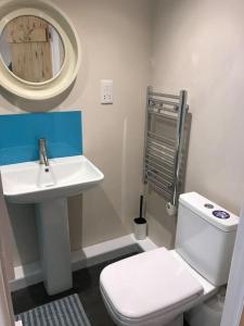 a bathroom with a sink and a toilet and a mirror at Rural Devon retreat in stunning Exe Valley. in Exeter