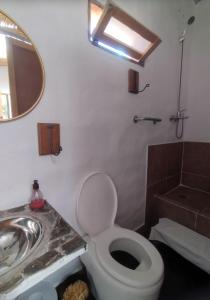 a bathroom with a toilet and a sink and a mirror at Dormir con llamas in Maimará