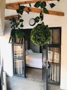 1 dormitorio con 1 cama y plantas en el techo en Dream Abodes at Cozy Craftmans Ship, Maboneng en Johannesburgo
