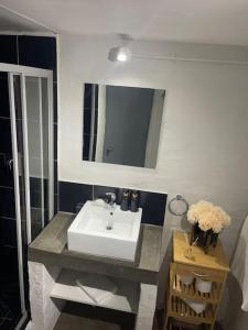 a bathroom with a sink and a mirror at Dream Abodes at Cozy Craftmans Ship, Maboneng in Johannesburg