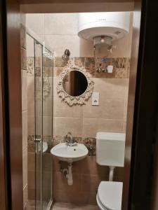 a bathroom with a sink and a toilet and a mirror at Derű Vendégház és Lovasudvar in Fenyőfő