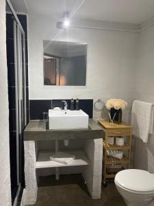 a bathroom with a sink and a toilet at Dream Abodes at Cozy Craftmans Ship, Maboneng in Johannesburg