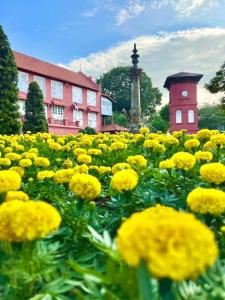 un campo di fiori gialli di fronte a un edificio di Homestay Melaka at Mahkota Hotel - unit 3093 - FREE Wifi & Parking a Malacca