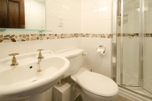 a bathroom with a toilet and a sink and a shower at Nans, Elterwater in Chapel Stile +3 photos