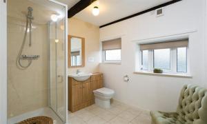 a bathroom with a shower and a toilet and a sink at Christmas Cottage in Chapel Stile