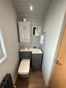 a small bathroom with a sink and a toilet at The Stag's Head - Shepherds Hut in Great Singleton
