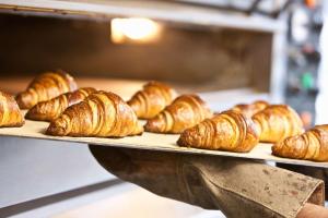 a bunch of croissants on trays in a bakery at The Coastal Inn Outbuilding in Cellardyke