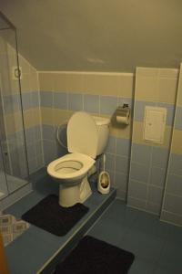 a bathroom with a toilet in a room with blue tiles at Penzión Dinda in Stará Ľubovňa