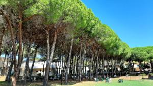a line of trees in front of a building at San Giuseppe Casa per Ferie in Quercianella