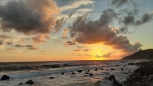 a group of birds on the beach at sunset at San Giuseppe Casa per Ferie in Quercianella