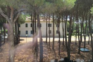 a group of trees in front of a building at San Giuseppe Casa per Ferie in Quercianella