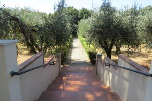 a stairway with a fence and trees on both sides at San Giuseppe Casa per Ferie in Quercianella