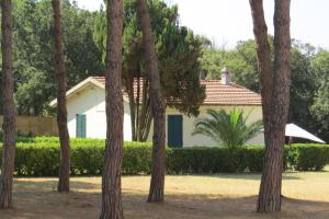 a house behind a group of palm trees at San Giuseppe Casa per Ferie in Quercianella