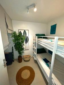a room with bunk beds and a potted plant at Appartement tout confort vue mer in Antibes