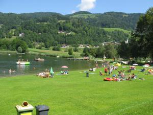 a group of people sitting on the grass near a lake at Apartment Frank-2 by Interhome in Feldkirchen in Kärnten