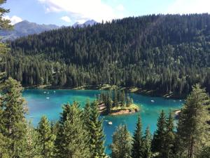Paesaggio naturale nelle vicinanze dell'appartamento