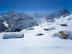 Apartment Chalet Blaugletscher by Interhome v zimě