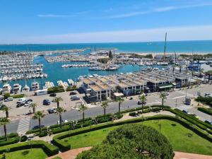 una vista aérea de un puerto deportivo con barcos en Apartment Du Soleil-3 by Interhome, en La Grande-Motte