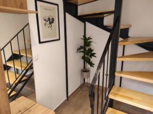 Fotografie z fotogalerie ubytování Garitsa Apartments B v destinaci Ágios Rókkos
