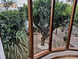 A garden outside Casa Magali