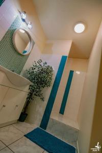 a bathroom with a mirror and a potted plant at Appartement Romance Florale Troyes in Troyes