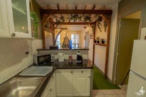 a kitchen with a sink and a counter top at Appartement Romance Florale Troyes in Troyes +10 photos