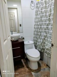 a bathroom with a white toilet and a sink at Santa Teresa Hostel in Temuco