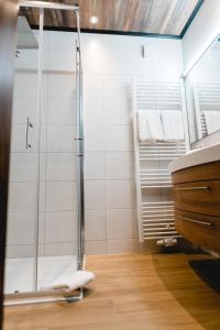 bagno con doccia e porta in vetro di Hotel Reiterhof-Altmühlsee a Gunzenhausen