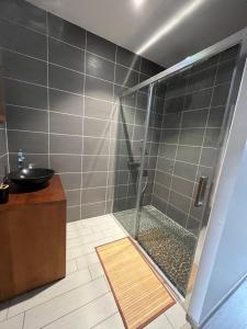 uma casa de banho com um chuveiro e um lavatório. em Maison Centre ville Blois em Blois