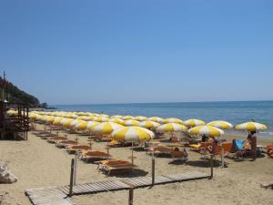 a row of yellow umbrellas and chairs on a beach at Apartment Costa di Kair ed Din-6 by Interhome in Sperlonga