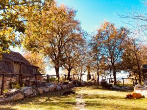 pies leżący w trawie obok domu w obiekcie HAPPY GLAMPING MADONIE w mieście Polizzi Generosa