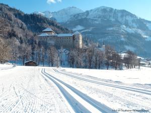 Apartment Mooslehen-1 by Interhome im Winter