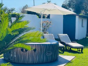A garden outside Loft Terracina