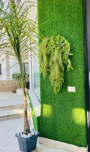 A garden outside Loft Terracina