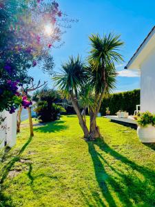 A garden outside Loft Terracina