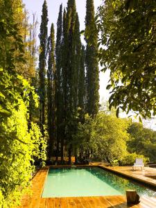 una piscina en un jardín con árboles en Casa mansa en Unquillo