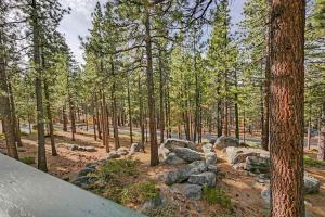 a group of rocks and trees in a forest at 1240 Timber Lane home in South Lake Tahoe