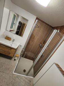 a bathroom with a shower and a sink at Ferienwohnungen Abendsonne - 8 Gehminuten zum EP in Rust +81 photos
