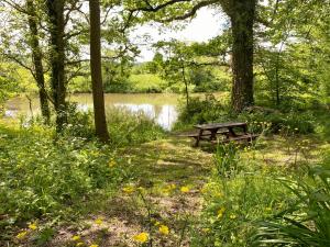 a picnic table sitting in the grass near a lake at Rural Retreat in Idyllic Countryside - fishing & walks in Hawkhurst