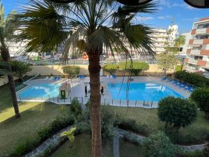 een uitzicht over een zwembad met een palmboom bij Apartment near Yumbo and Cita in Playa del Inglés