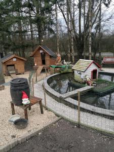 un grupo de casas de aves y un estanque en un parque en le gite de zoelie en Chaineux