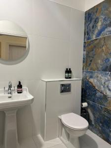 a bathroom with a sink and a toilet and a mirror at Riverfront Apartments at The Blue Goat Ramelton in Ramelton