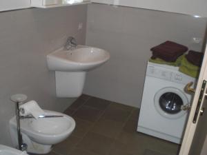 a bathroom with a sink and a washing machine at Casa Domenica in Mezzana