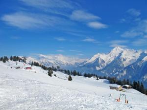 Chalet Antonia-1 by Interhome v zime