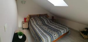 a bedroom with a large bed in a attic at Gîte de rarounette au cœur des Vosges in Celles-sur-Plaine