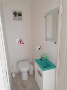 a small bathroom with a toilet and a sink at Gîte de rarounette au cœur des Vosges in Celles-sur-Plaine