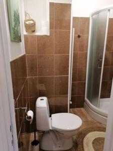 a bathroom with a toilet and a shower at Studio apartman Cactus in Zagreb