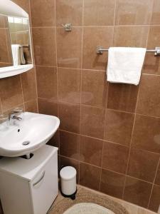 Studio apartman Cactus في زغرب: حمام مع حوض ومرحاض