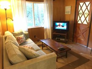 a living room with a couch and a tv at Classic Carnelian Bay Log Cabin in Carnelian Bay