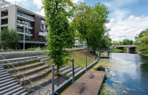 a building next to a river with a tree and stairs at Angel apartmens in Wrocław